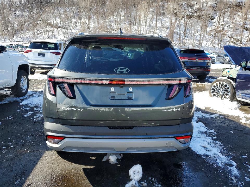 78973555 :رقم المزاد ، KM8JEDD10SU384692 vin ، 2025 Hyundai Tucson Hybrid مزاد بيع