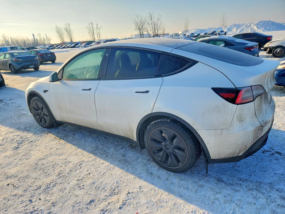 75682285 :رقم المزاد ، 5YJYGDED9MF110926 vin ، 2021 Tesla Model Y مزاد بيع