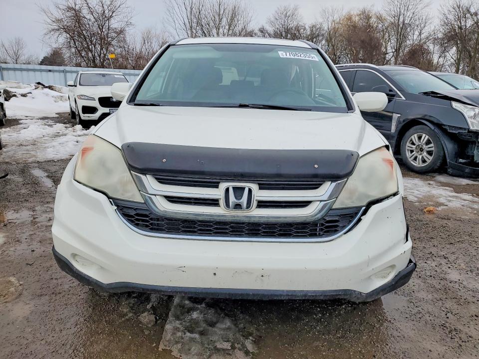 77082355 :رقم المزاد ، 5J6RE4H54AL804926 vin ، 2010 Honda Cr-v مزاد بيع