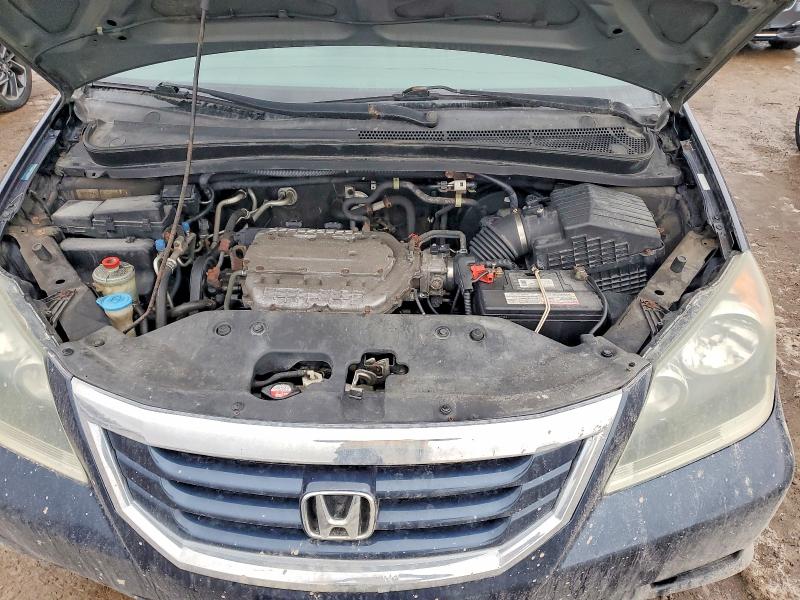 Продажа на аукционе авто 2009 Honda Odyssey, vin: 5FNRL38449B503312, номер лота: 76508085