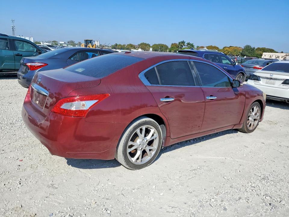 Продаж на аукціоні авто 2010 Nissan Maxima, vin: 1N4AA5AP6AC851557, номер лоту: 56295216