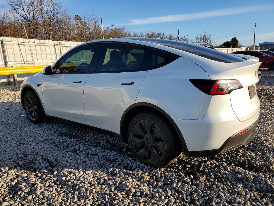 77219715 :رقم المزاد ، 7SAYGDEE1SF263437 vin ، 2025 Tesla Model Y مزاد بيع