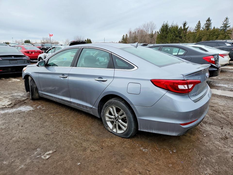 2017 Hyundai Sonata მანქანა იყიდება აუქციონზე, vin: 5NPE24AF3HH516636, აუქციონის ნომერი: 77299945