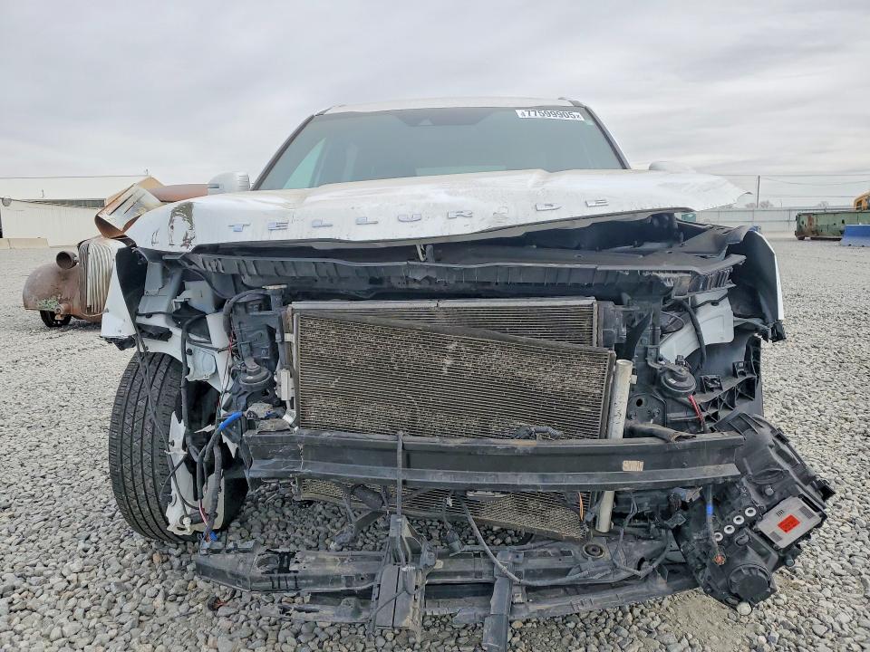 Aukcja sprzedaży 2020 Kia Telluride, vin: 5XYP5DHC4LG088250, numer aukcji: 77599905