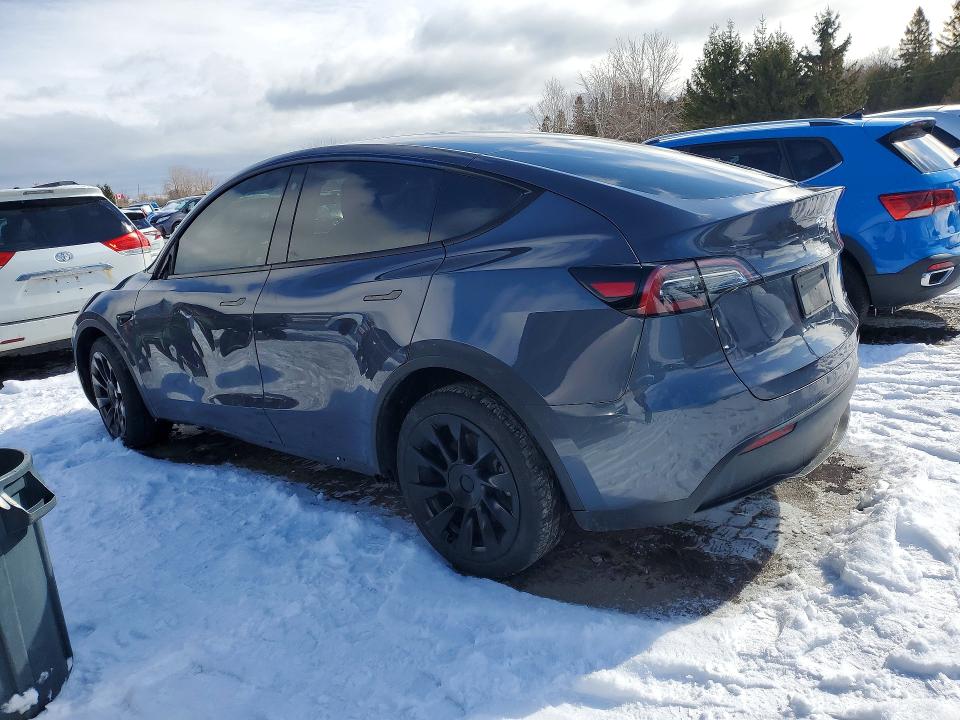 Продаж на аукціоні авто 2023 Tesla Model Y, vin: 7SAYGDEE2PF775120, номер лоту: 77303425