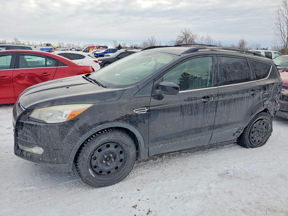 Auction sale of the 2013 Ford Escape, vin: 1FMCU0G91DUC49536, lot number: 76267065