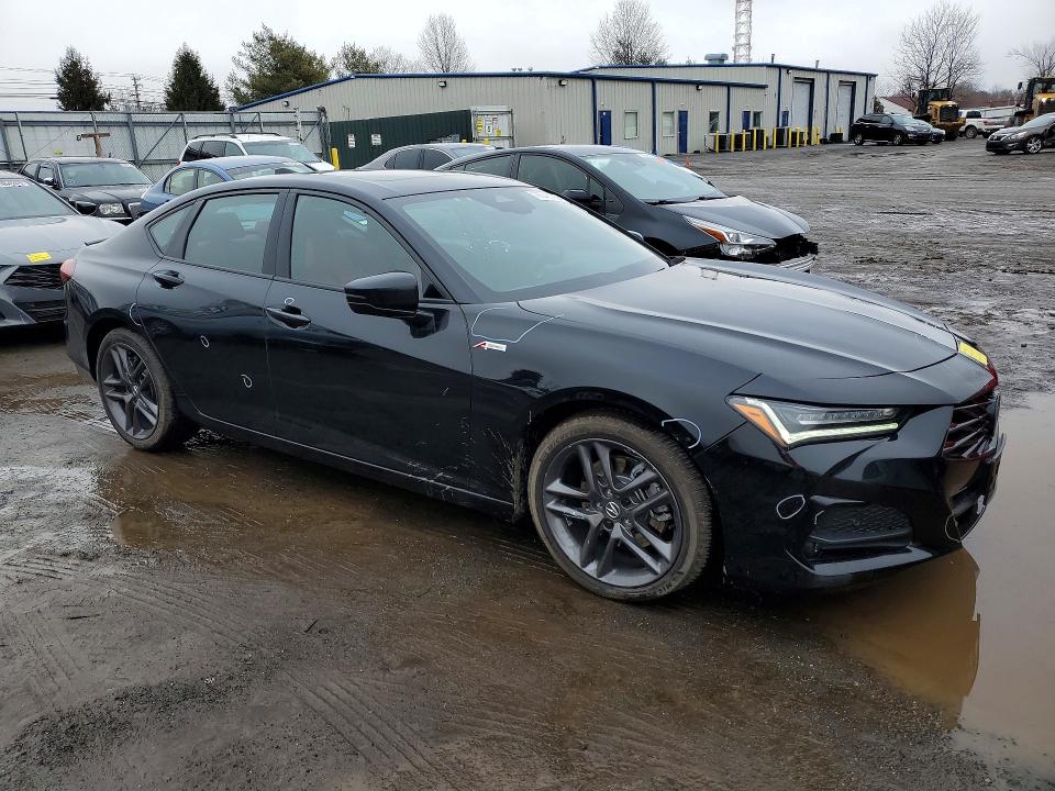 Продаж на аукціоні авто 2025 Acura Tlx, vin: 19UUB6F5XSA002628, номер лоту: 78548795