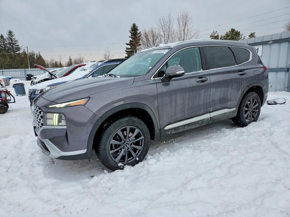 Продаж на аукціоні авто 2021 Hyundai Santa Fe, vin: KM8S3DA11MU005278, номер лоту: 75369505