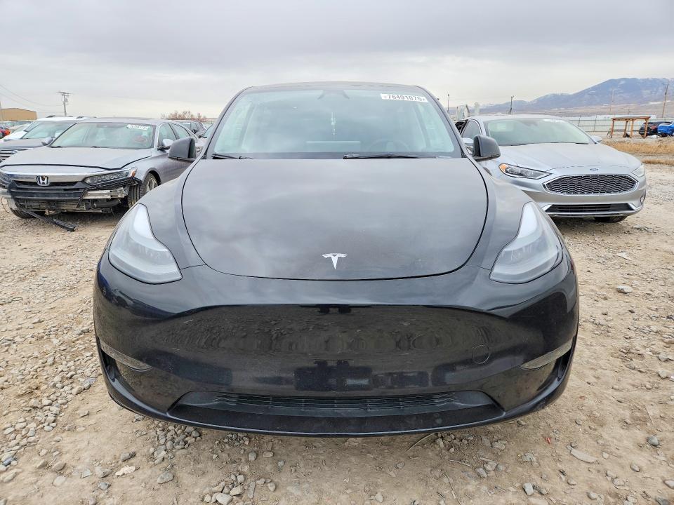 Продажа на аукционе авто 2024 Tesla Model Y, vin: 7SAYGDEE6RA251095, номер лота: 76491075