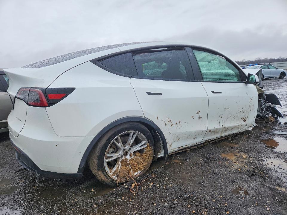Продажа на аукционе авто 2021 Tesla Model Y, vin: 5YJYGDEE4MF190175, номер лота: 77802965