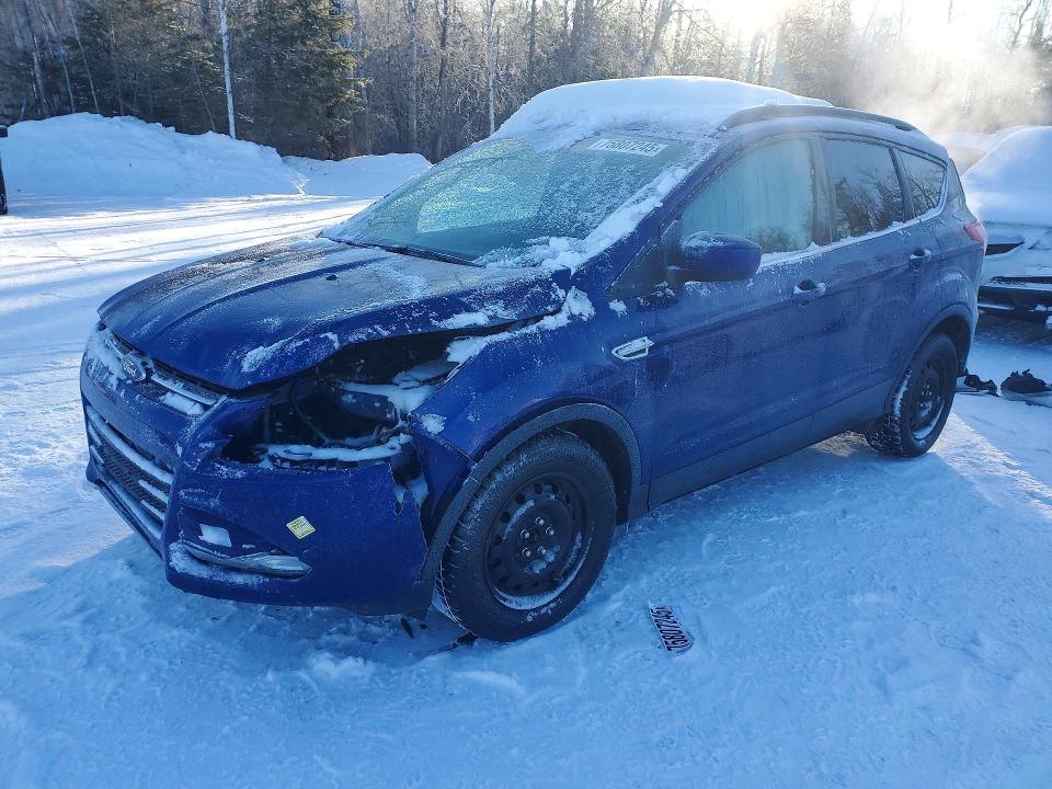 Продажа на аукционе авто 2014 Ford Escape, vin: 1FMCU0GX7EUC96358, номер лота: 75807245