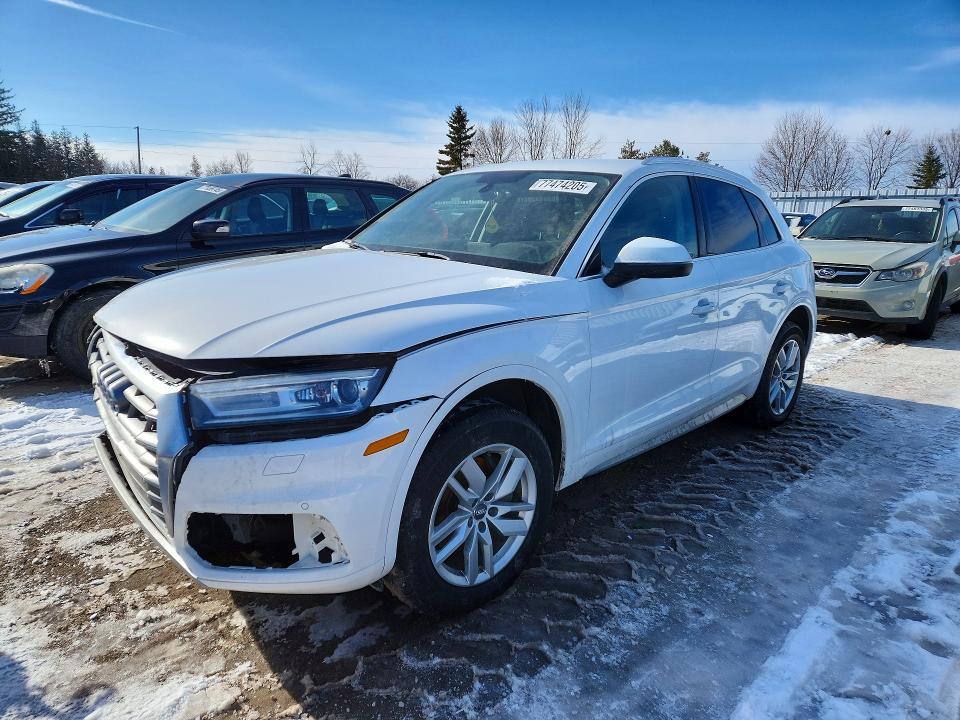 Auction sale of the 2019 Audi Q5, vin: WA1ANAFY7K2032423, lot number: 77474205
