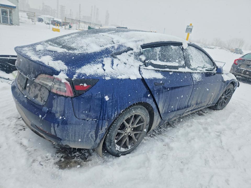 2023 Tesla Model 3 მანქანა იყიდება აუქციონზე, vin: 5YJ3E1EA2PF491169, აუქციონის ნომერი: 78505705