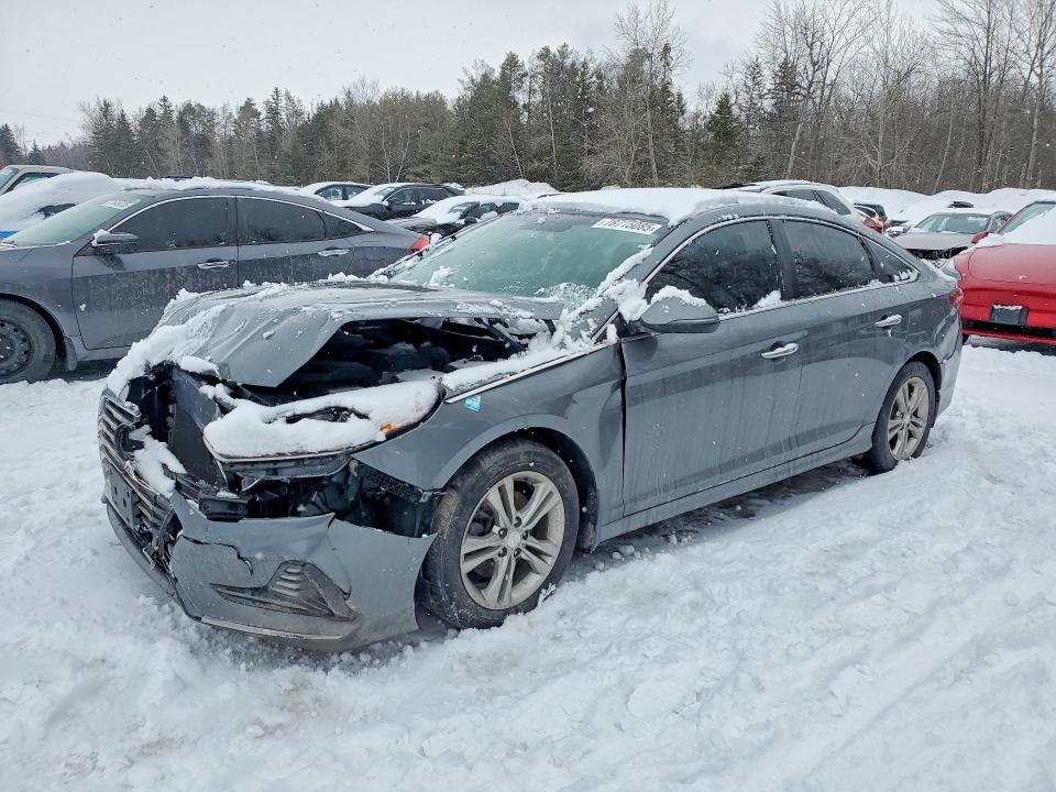 Продажа на аукционе авто 2019 Hyundai Sonata, vin: 5NPE34AF0KH760135, номер лота: 78715085
