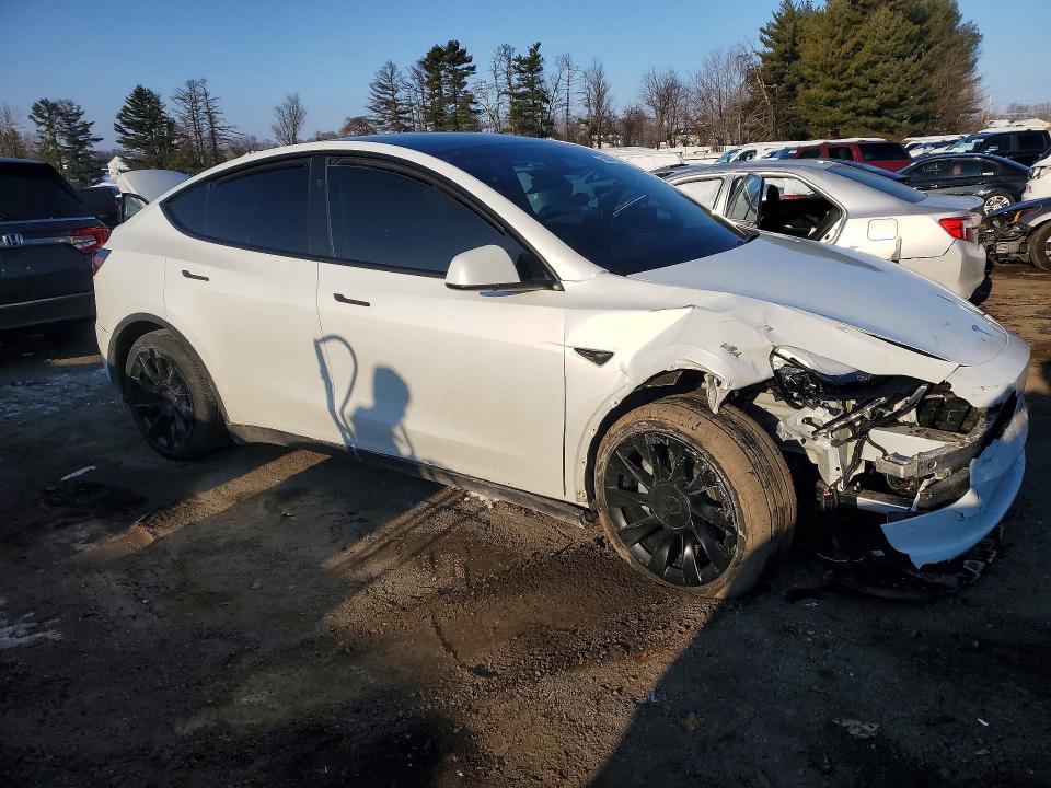 Продаж на аукціоні авто 2024 Tesla Model Y, vin: 7SAYGDED3RF092059, номер лоту: 75603485