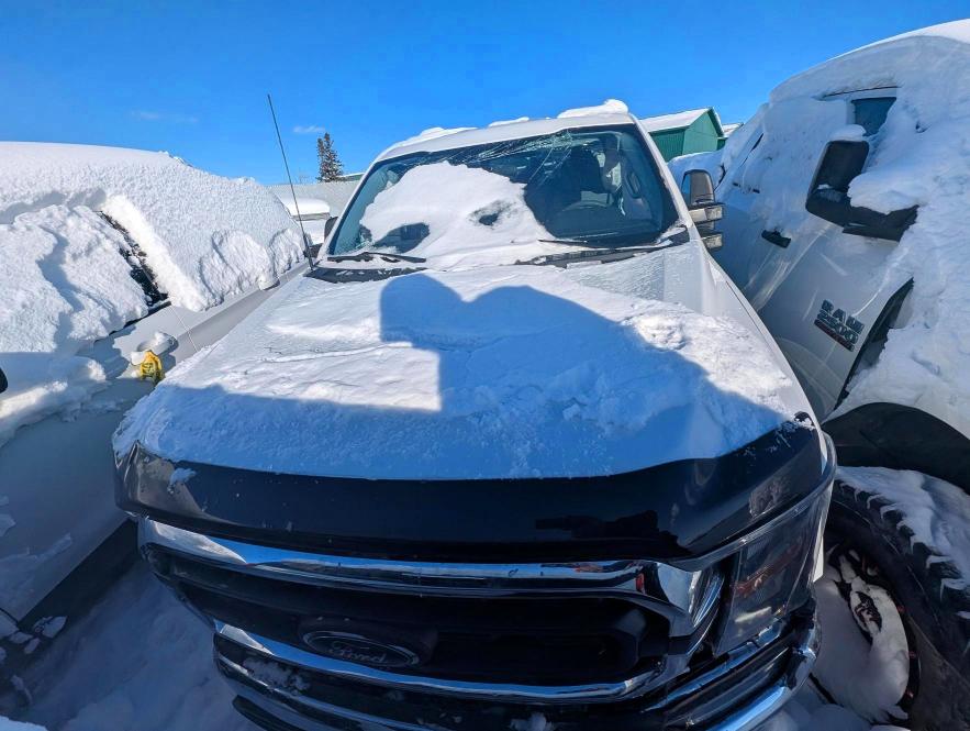 Aukcja sprzedaży 2023 Ford F150 Super, vin: 1FTFX1E82PKF56108, numer aukcji: 73277665