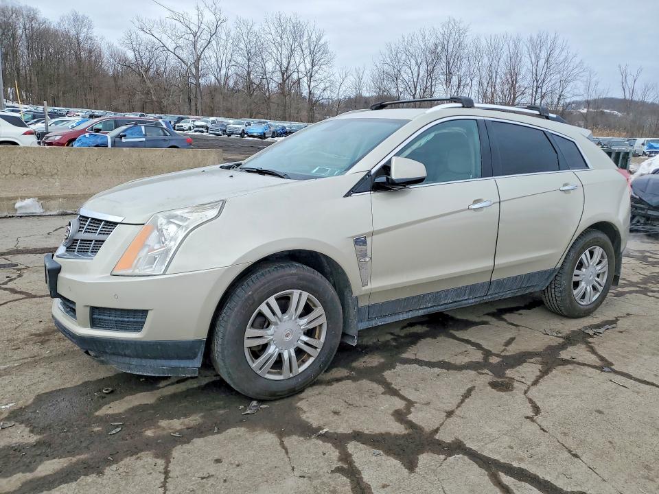 Продажа на аукционе авто 2010 Cadillac Srx, vin: 3GYFNAEY4AS563685, номер лота: 77671925
