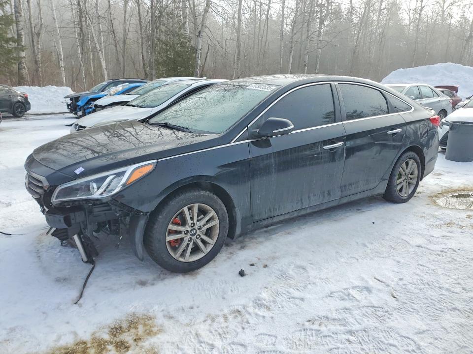 Продаж на аукціоні авто 2016 Hyundai Sonata, vin: 5NPE24AF8GH409600, номер лоту: 77303535