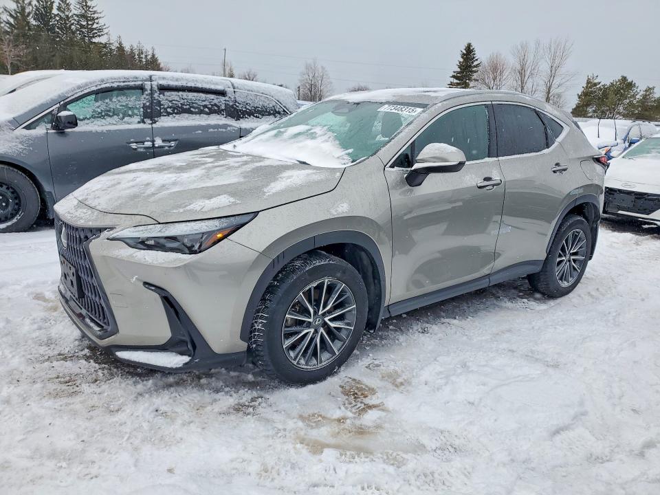 77348315 :رقم المزاد ، 2T2GKCEZ7PC011283 vin ، 2023 Lexus Nx مزاد بيع