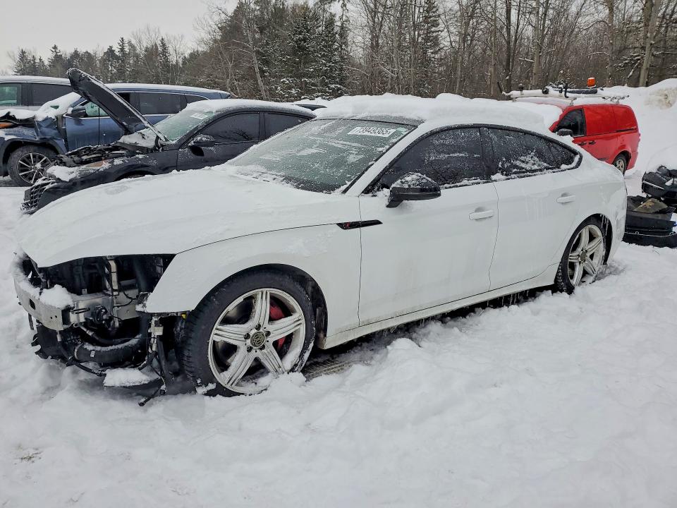 Aukcja sprzedaży 2024 Audi S5, vin: WAUB4CF53RA085440, numer aukcji: 73949365