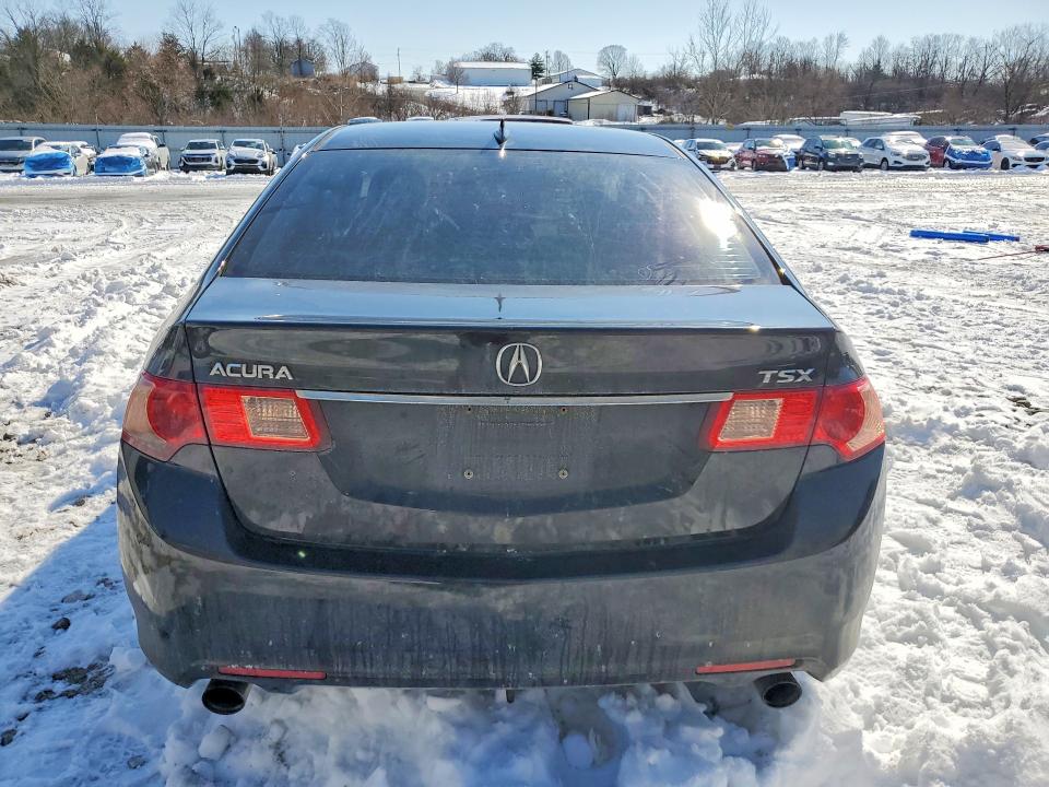 2011 Acura Tsx მანქანა იყიდება აუქციონზე, vin: JH4CU2F63BC004486, აუქციონის ნომერი: 76836975
