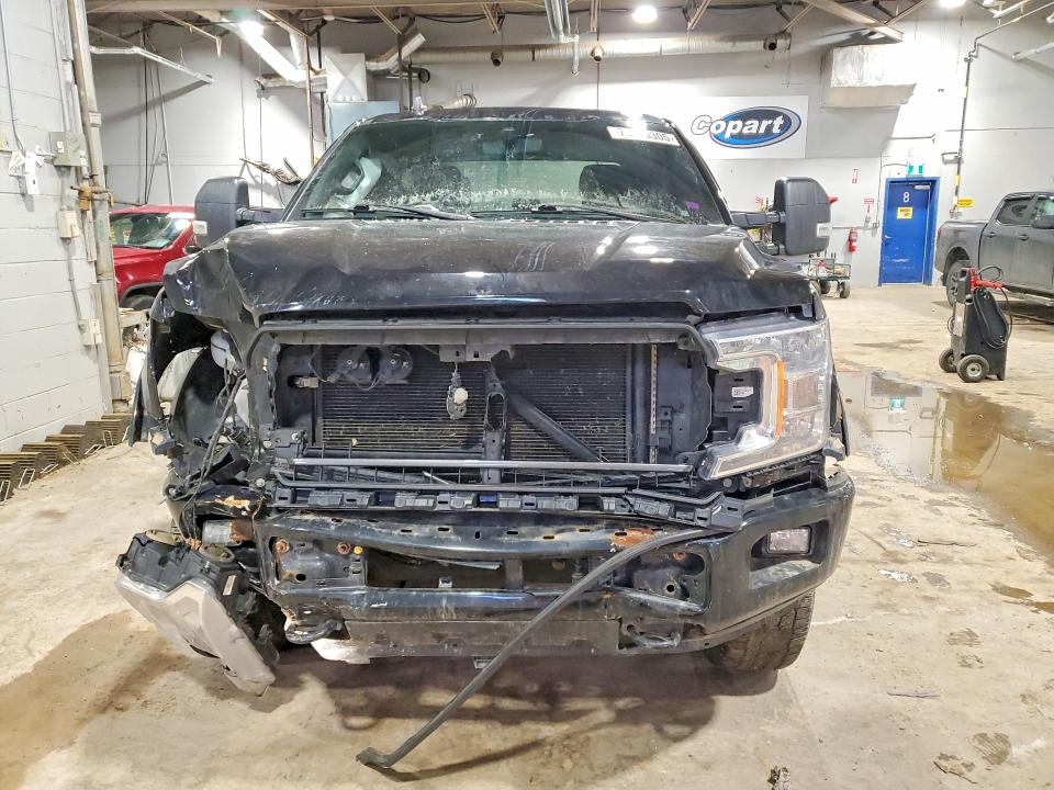 75919305 :رقم المزاد ، 1FTEW1E57KFA98538 vin ، 2019 Ford F150 مزاد بيع