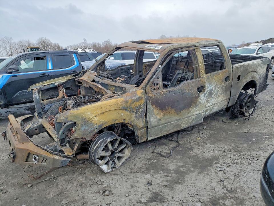Продажа на аукционе авто 2014 Ford F150, vin: 1FTFW1EFXEFB51119, номер лота: 76451685