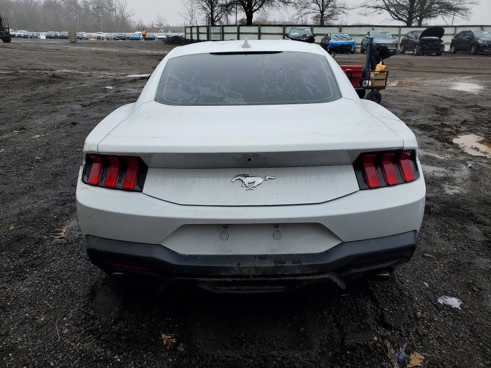 Продажа на аукционе авто 2024 Ford Mustang, vin: 1FA6P8TH1R5130672, номер лота: 77146535