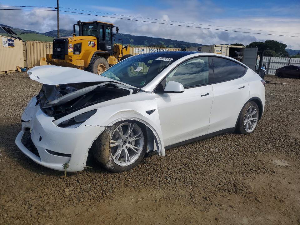 Продажа на аукционе авто 2024 Tesla Model Y, vin: 7SAYGDEE2RF070336, номер лота: 77371615