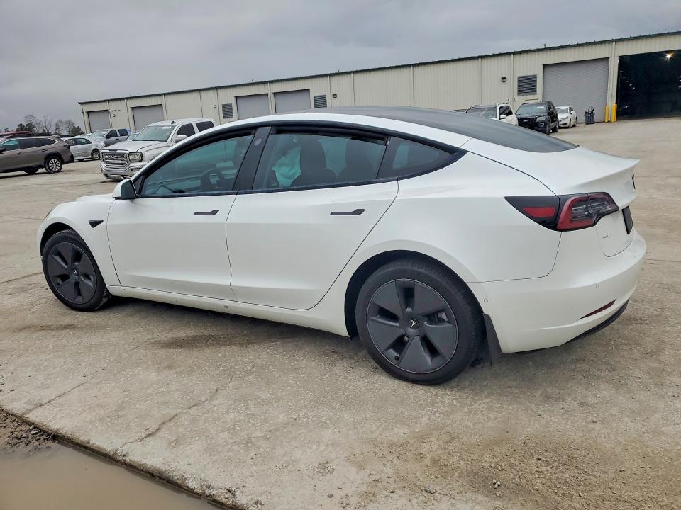 2021 Tesla Model 3 მანქანა იყიდება აუქციონზე, vin: 5YJ3E1EA6MF854956, აუქციონის ნომერი: 79421685