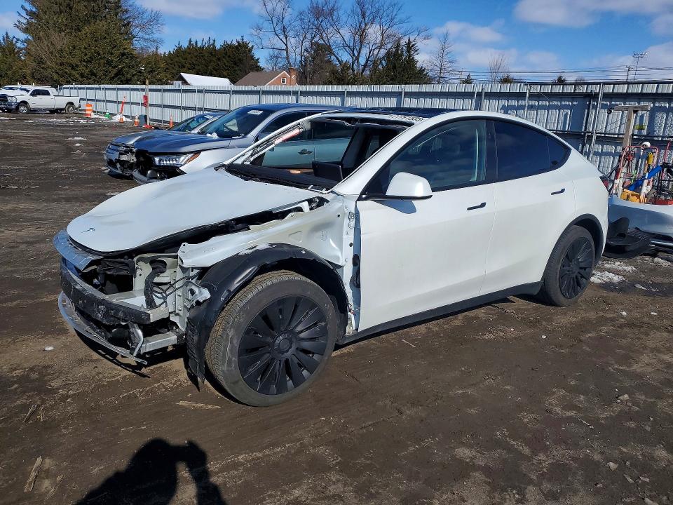 Aukcja sprzedaży 2025 Tesla Model Y, vin: 7SAYGDED7SF260310, numer aukcji: 77791535