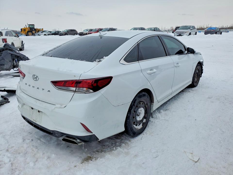 75550055 :رقم المزاد ، 5NPE24AF8KH742386 vin ، 2019 Hyundai Sonata مزاد بيع
