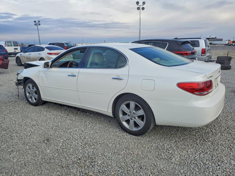 76841265 :رقم المزاد ، JTHBA30G865151117 vin ، 2006 Lexus Es مزاد بيع