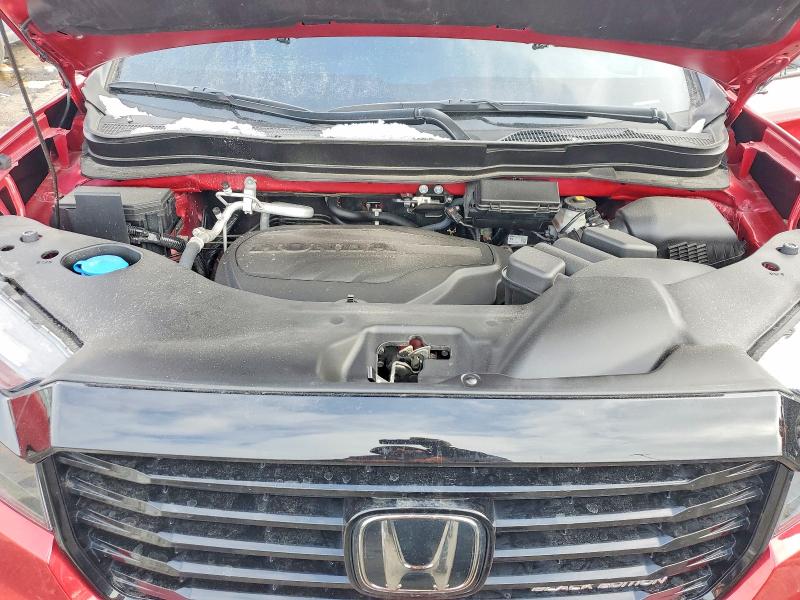 Продажа на аукционе авто 2024 Honda Passport, vin: 5FNYF8H81RB015762, номер лота: 75355195