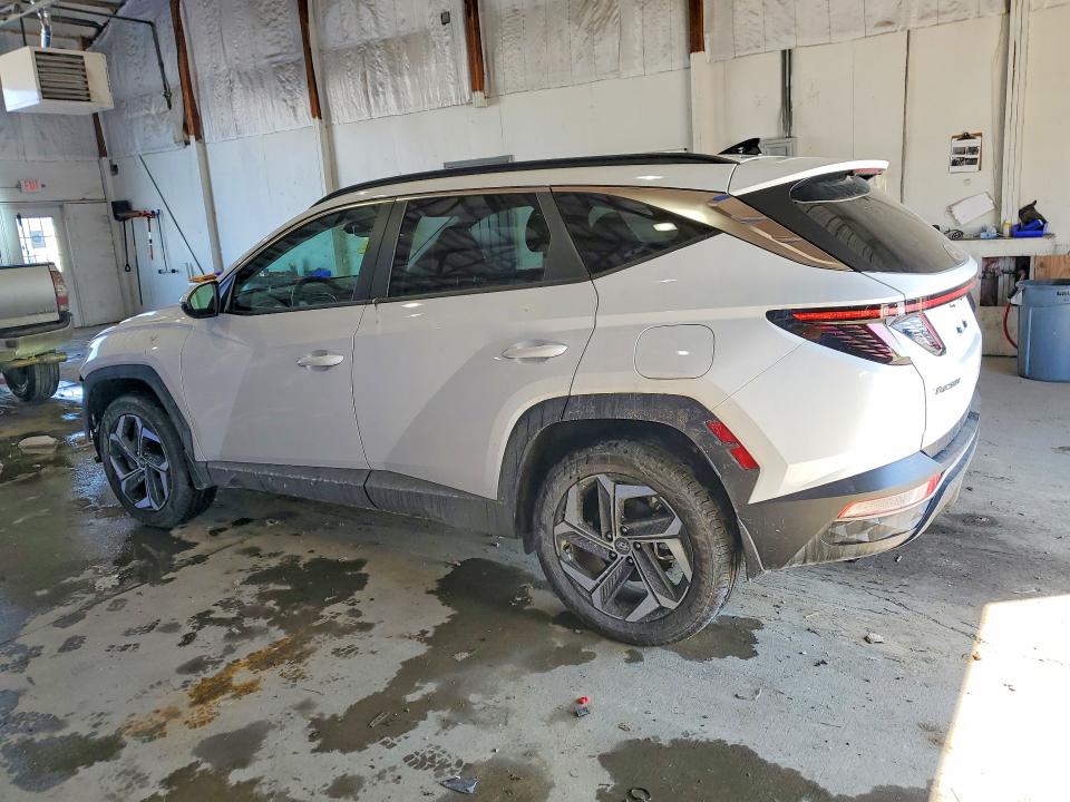 Продаж на аукціоні авто 2023 Hyundai Tucson, vin: 5NMJFCAE4PH245649, номер лоту: 76755735