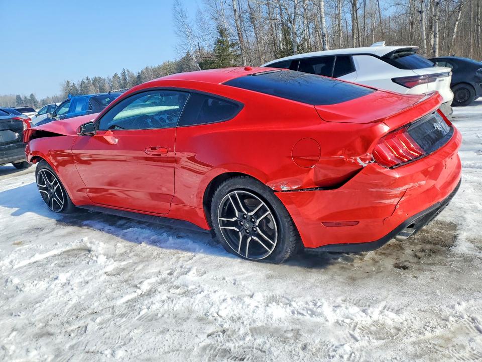 Продажа на аукционе авто 2019 Ford Mustang 2dr, vin: 1FA6P8TH0K5103100, номер лота: 74021875