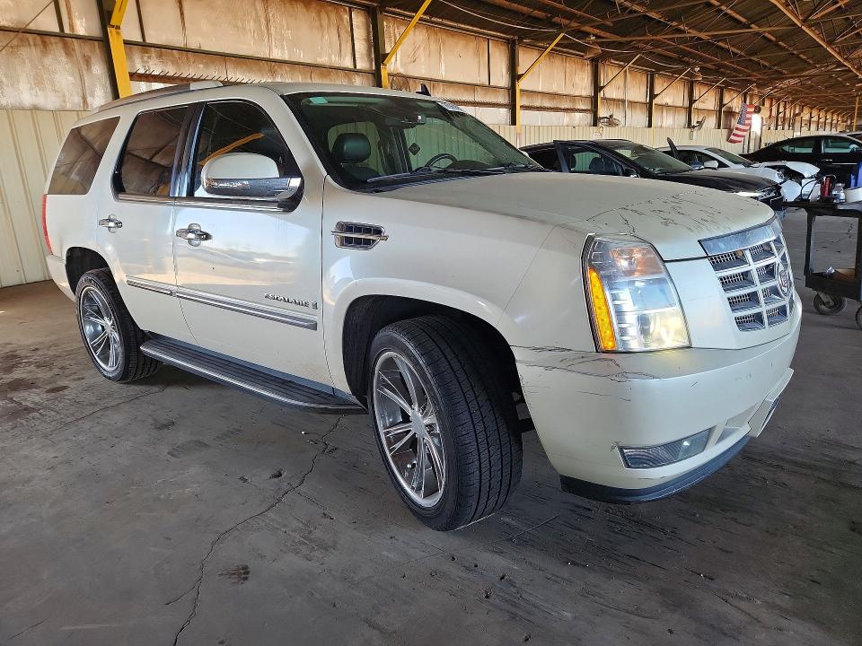 2009 Cadillac Escalade L მანქანა იყიდება აუქციონზე, vin: 1GYFK232X9R285662, აუქციონის ნომერი: 76569905