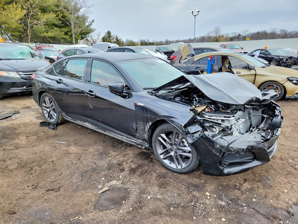 Продаж на аукціоні авто 2025 Acura Tlx, vin: 19UUB6F56SA005283, номер лоту: 75870895
