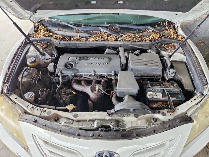 76770375 :رقم المزاد ، 4T1BE46KX9U884105 vin ، 2009 Toyota Camry مزاد بيع
