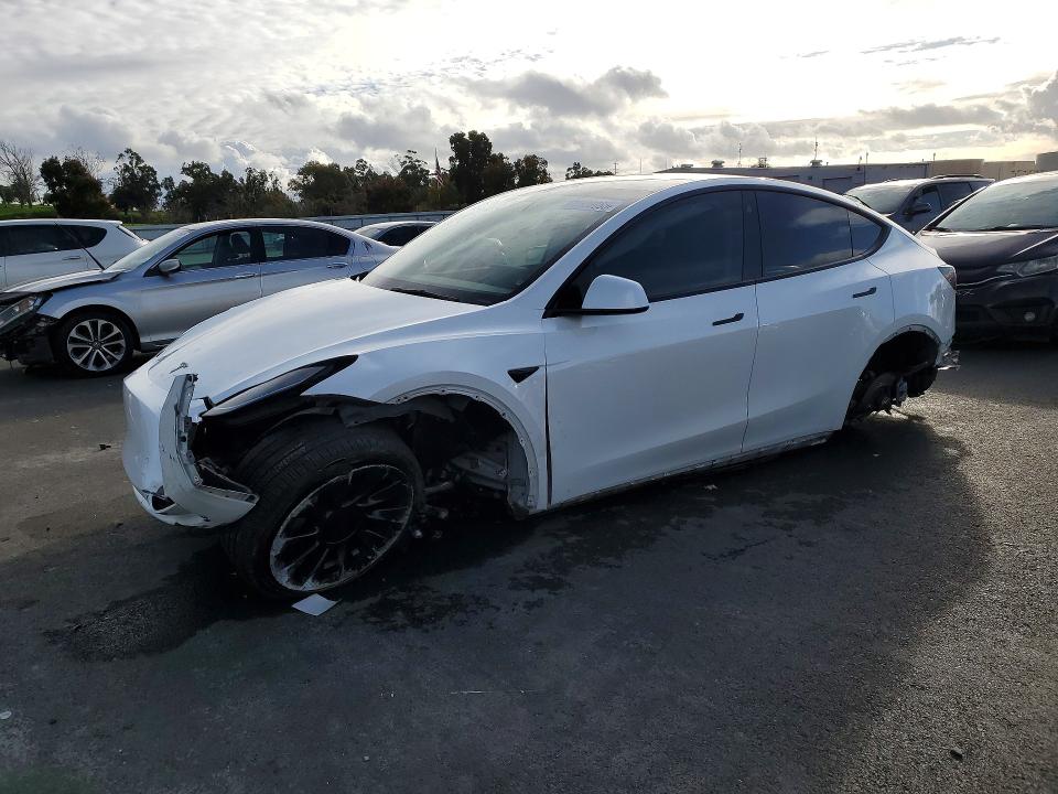 2021 Tesla Model Y მანქანა იყიდება აუქციონზე, vin: 5YJYGDEE1MF137854, აუქციონის ნომერი: 77628065