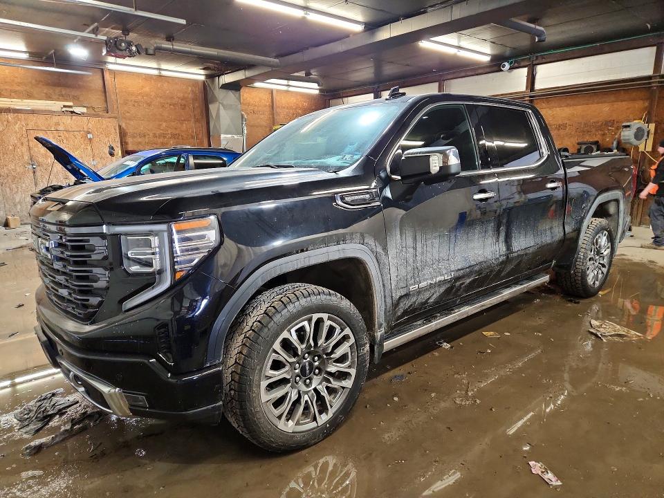 Продаж на аукціоні авто 2025 Gmc Sierra, vin: 1GTUUHE87SZ184256, номер лоту: 79116865