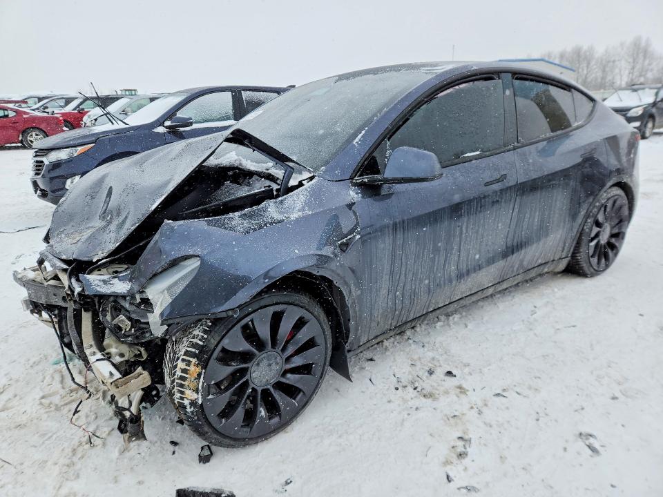 Продажа на аукционе авто 2023 Tesla Model Y, vin: 7SAYGDEF8PF948227, номер лота: 76052455
