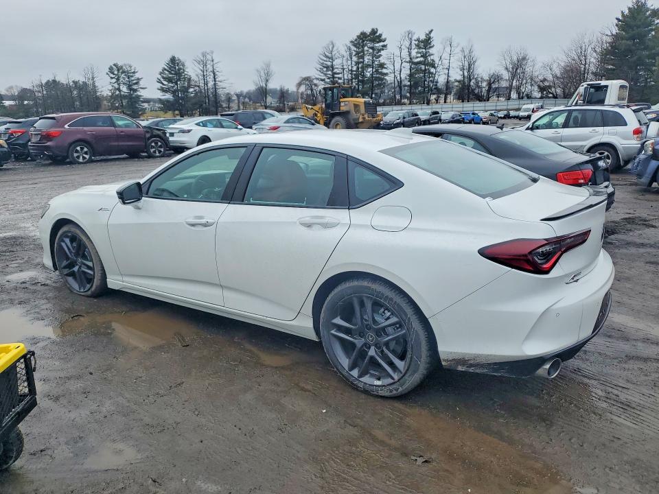 78547935 :رقم المزاد ، 19UUB6F58SA005379 vin ، 2025 Acura Tlx مزاد بيع