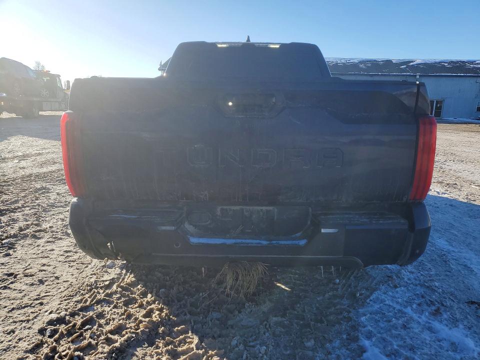 Aukcja sprzedaży 2024 Toyota Tundra, vin: 5TFLA5DB4RX206591, numer aukcji: 75595015