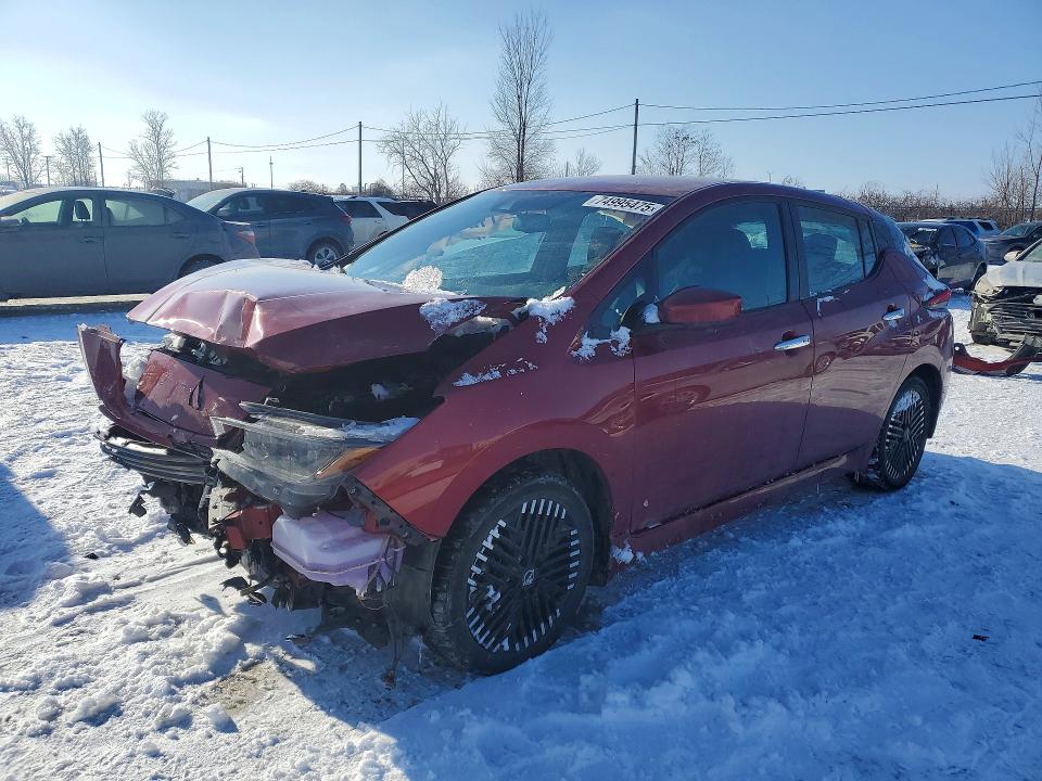 2023 Nissan Leaf Sv Pl მანქანა იყიდება აუქციონზე, vin: 1N4CZ1CV9PC550781, აუქციონის ნომერი: 74995475