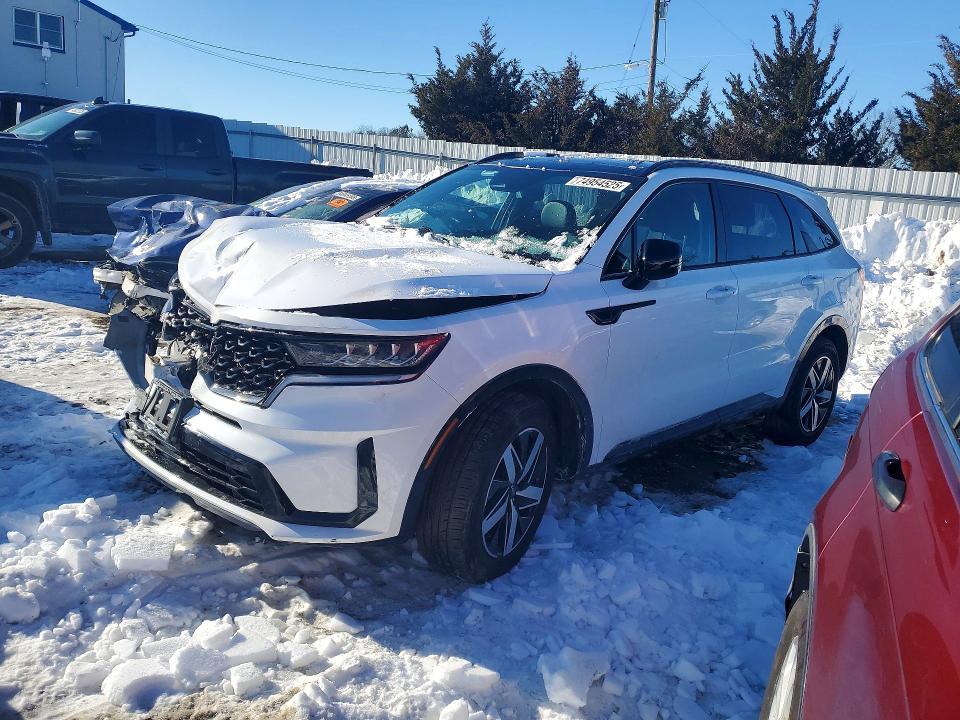 Auction sale of the 2023 Kia Sorento, vin: 5XYRL4LC1PG173624, lot number: 74954525