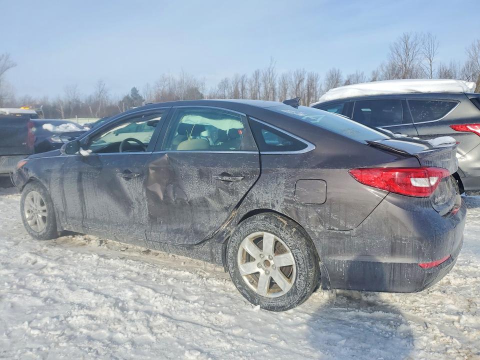 Продаж на аукціоні авто 2017 Hyundai Sonata, vin: 5NPE24AF9HH505026, номер лоту: 75555765