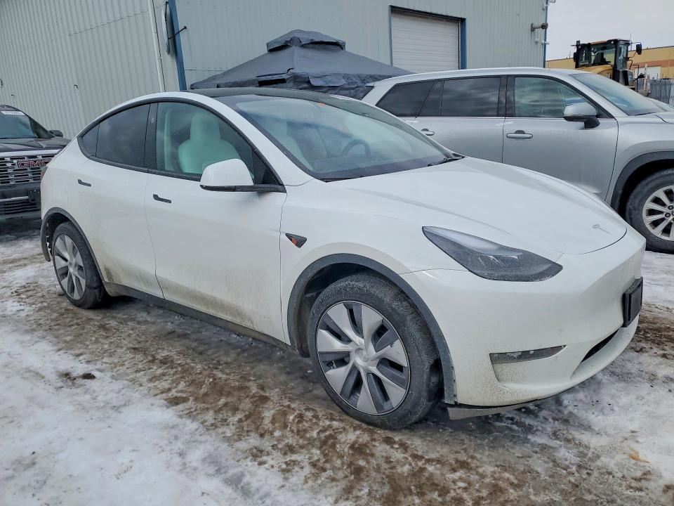 Aukcja sprzedaży 2024 Tesla Model Y, vin: 7SAYGDEE7RF990608, numer aukcji: 78209645