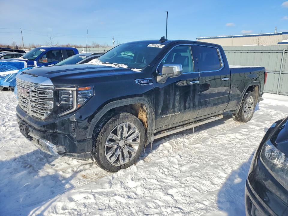 Продаж на аукціоні авто 2026 Gmc Sierra, vin: 3GTUUGE82TG130455, номер лоту: 75802925