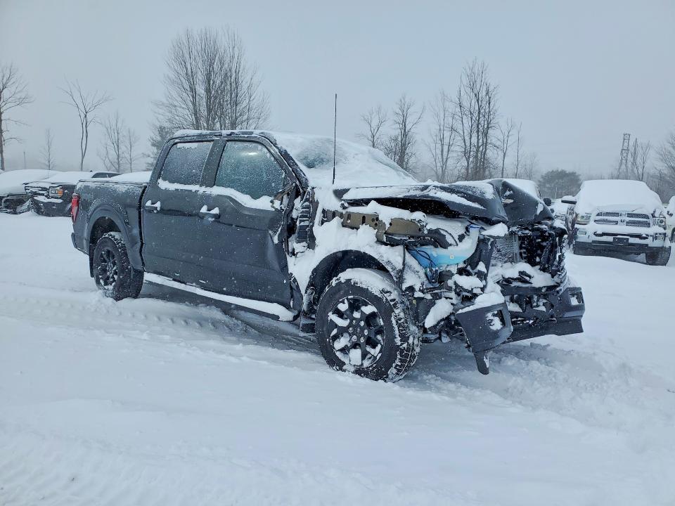 Aukcja sprzedaży 2025 Ford F150, vin: 1FTEW2LP7SFA55411, numer aukcji: 74607745